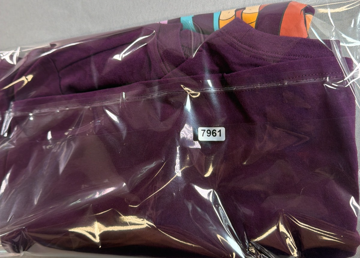 Scooby Doo Womens 1X Purple Mystery Gang Graphic Tee Shirt Velma Shaggy Daphne