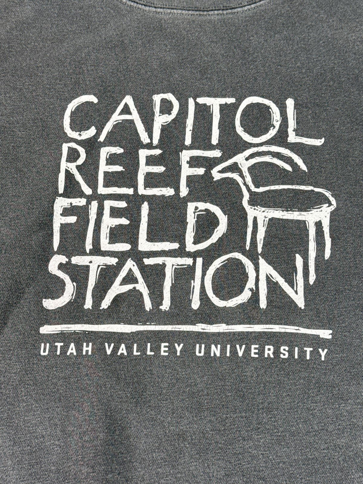 Independent Trading Company Capitol Reef Field Station Sweatshirt S Gray Cotton