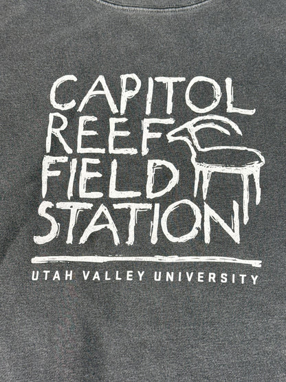 Independent Trading Company Capitol Reef Field Station Sweatshirt S Gray Cotton