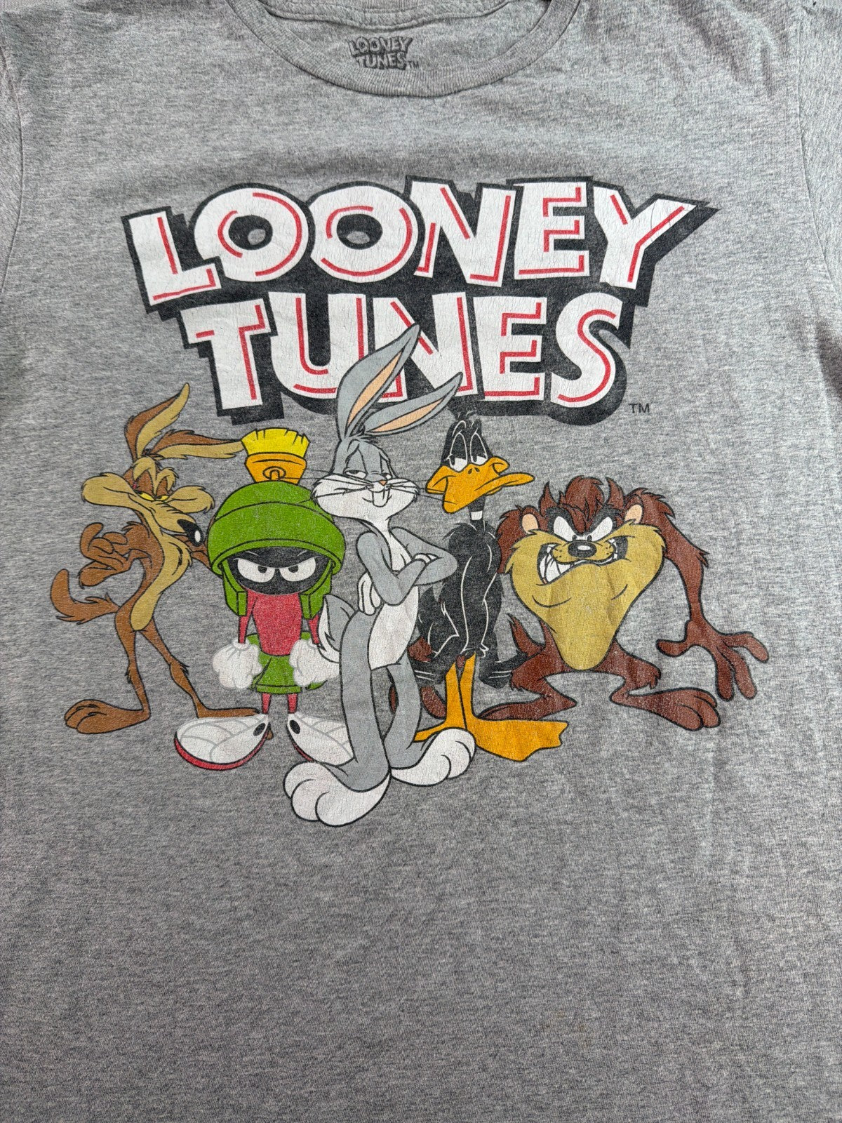 Looney Tunes Group Shot Bugs Bunny Taz Daffy Marvin Gray Graphic Tee Mens Med