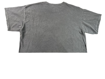 Active Charcoal Streetwear Tee XX LARGE XX Gray Cotton Graphic Crewneck Short