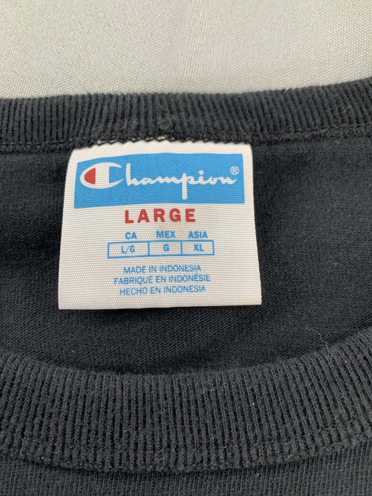 Champion Shirt Mens Large Graphic Colorblock Short Sleeve Tee Athletic Casual