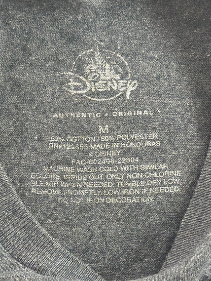 Disneyland Mickey Minnie Goofy Donald Rainbow Castle Gray T-Shirt Mens Medium