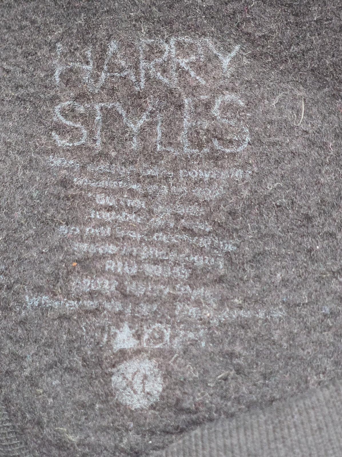 Harry Styles P31461303 Graphic Print Sweatshirt Unisex Black Long Sleeve