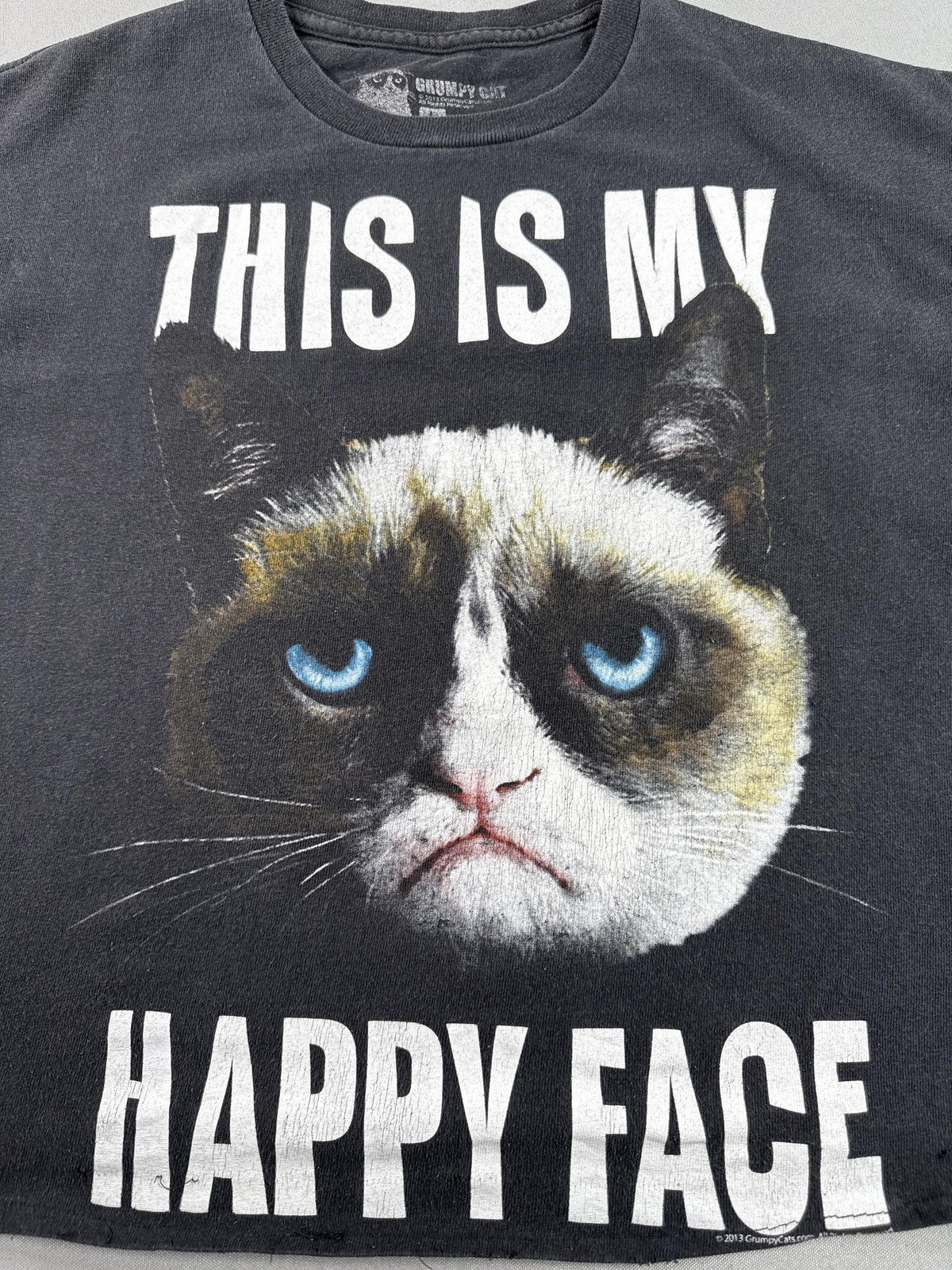 Grumpy Cat Meme Graphic Tee Mens L Black 100% Cotton Short Sleeve Crewneck