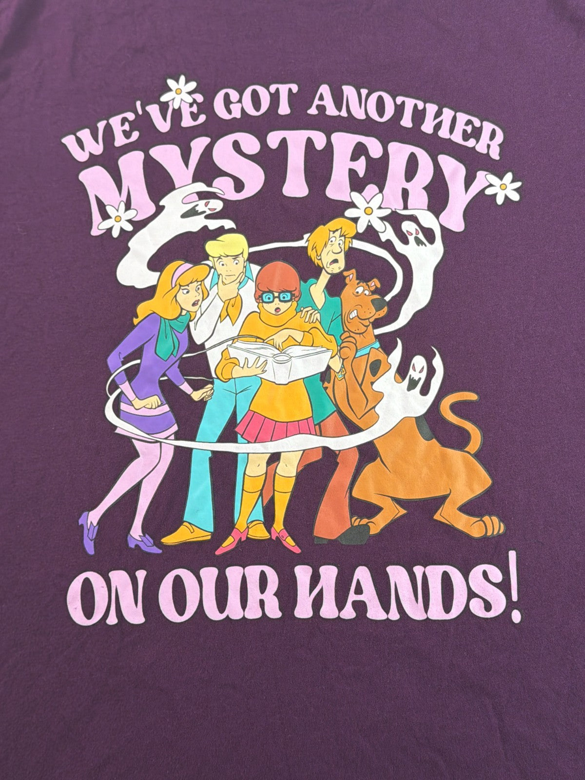 Scooby Doo Womens 1X Purple Mystery Gang Graphic Tee Shirt Velma Shaggy Daphne