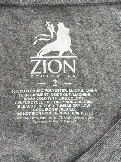 Willie Nelson Womens 2XL Gray Texas Flag Bull Skull Roses Country Music Tee Shir