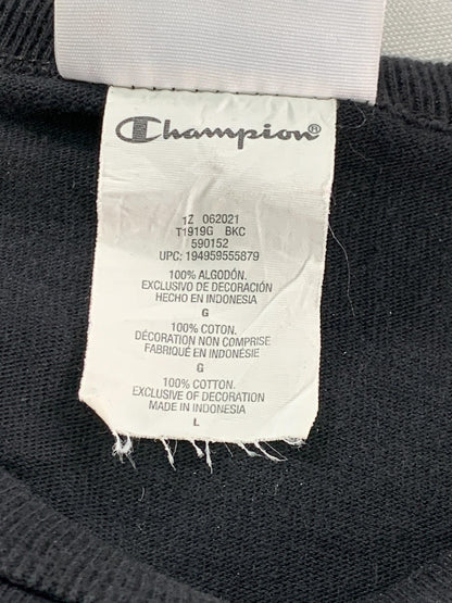 Champion Shirt Mens Large Graphic Colorblock Short Sleeve Tee Athletic Casual