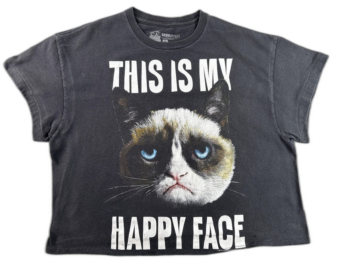 Grumpy Cat Meme Graphic Tee Mens L Black 100% Cotton Short Sleeve Crewneck