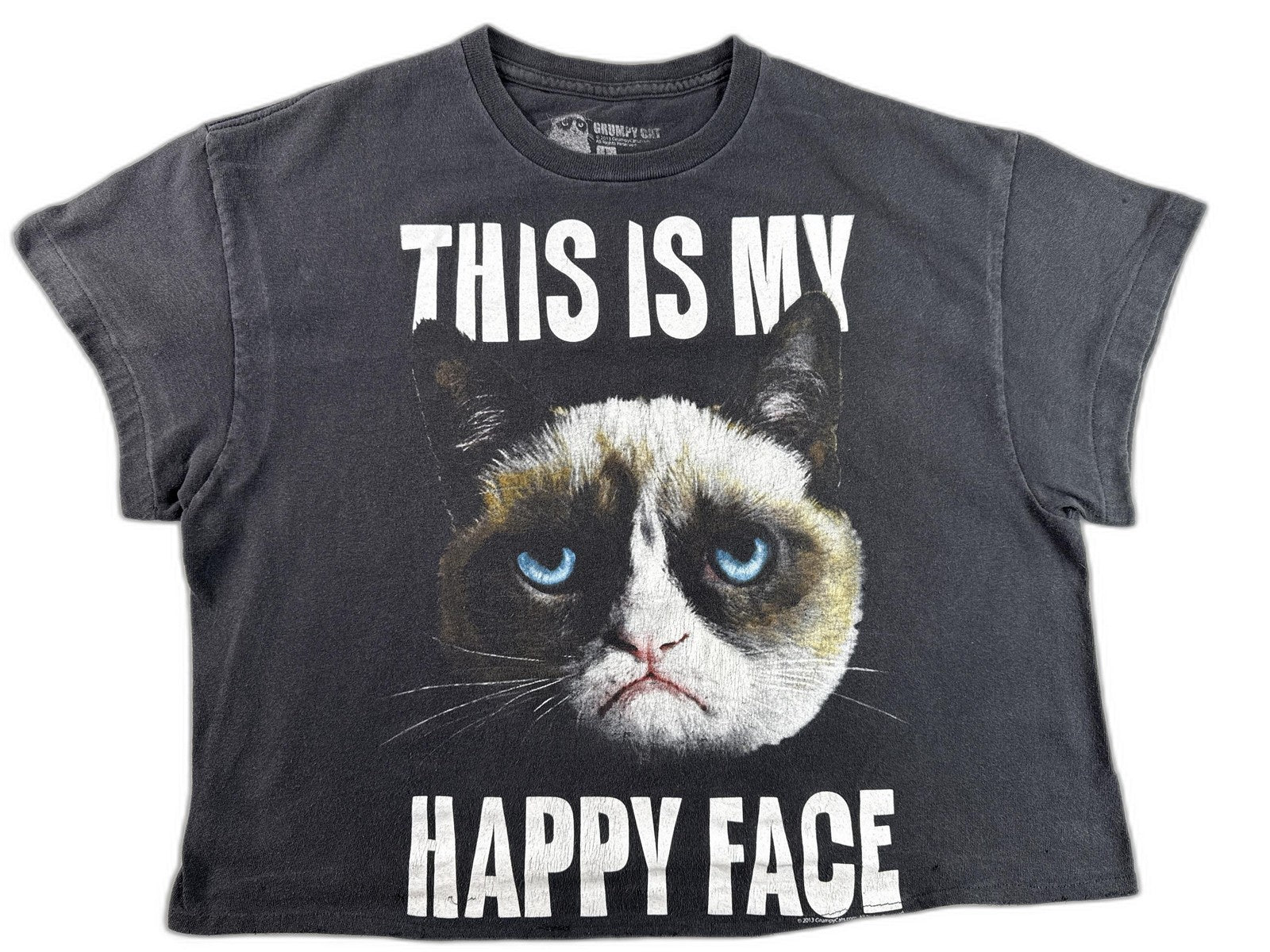 Grumpy Cat Meme Graphic Tee Mens L Black 100% Cotton Short Sleeve Crewneck