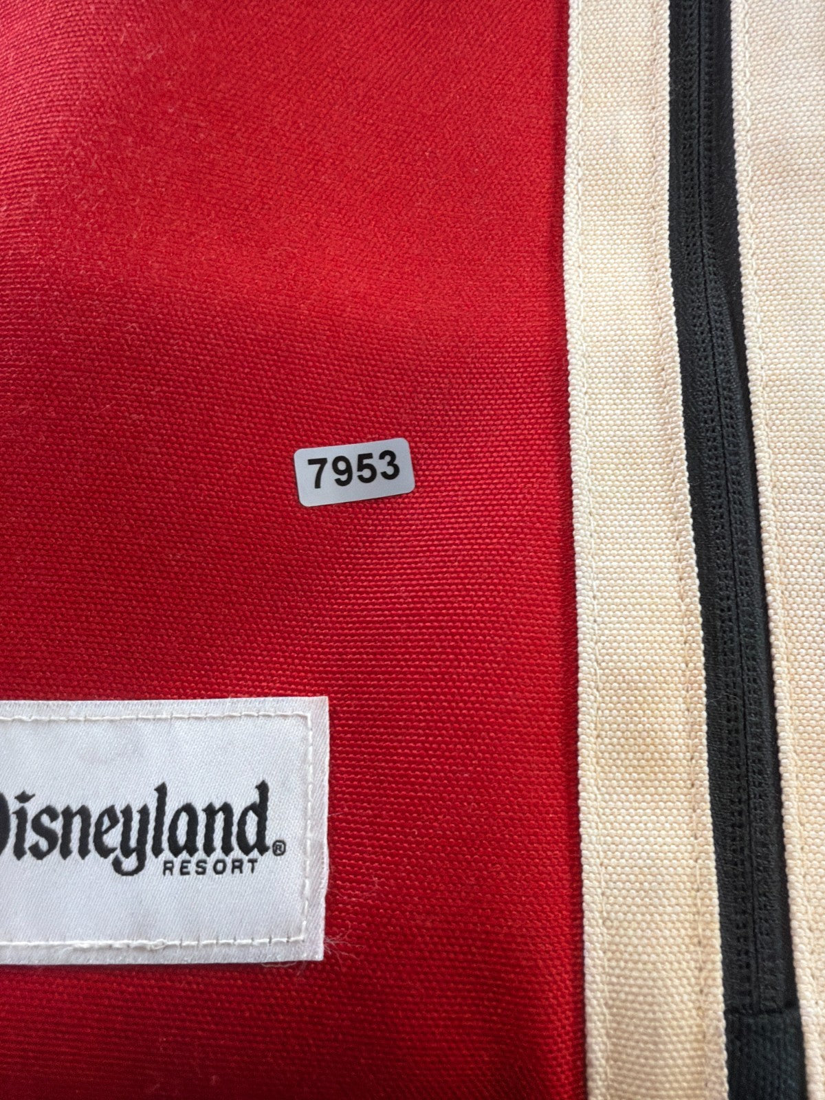 Disneyland Resort Disney Parks Mickey Mouse Through Ages Backpack Red Gray Bag