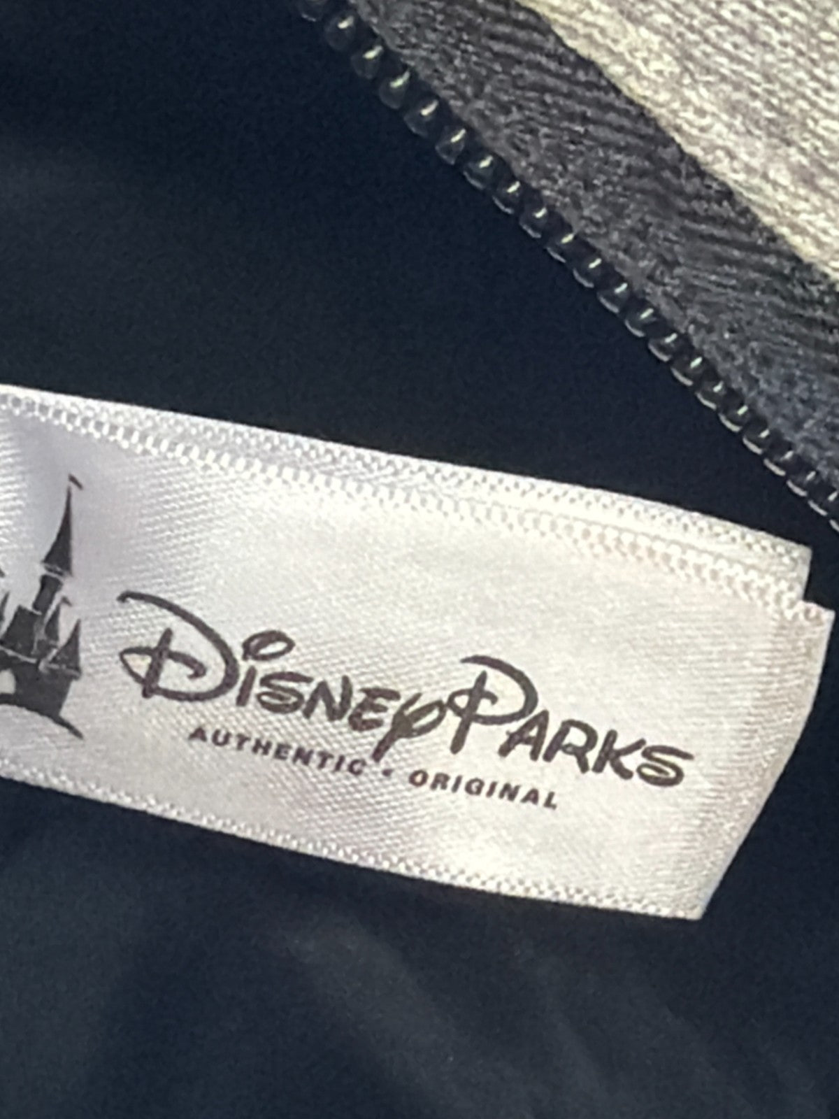Disneyland Resort Disney Parks Mickey Mouse Through Ages Backpack Red Gray Bag