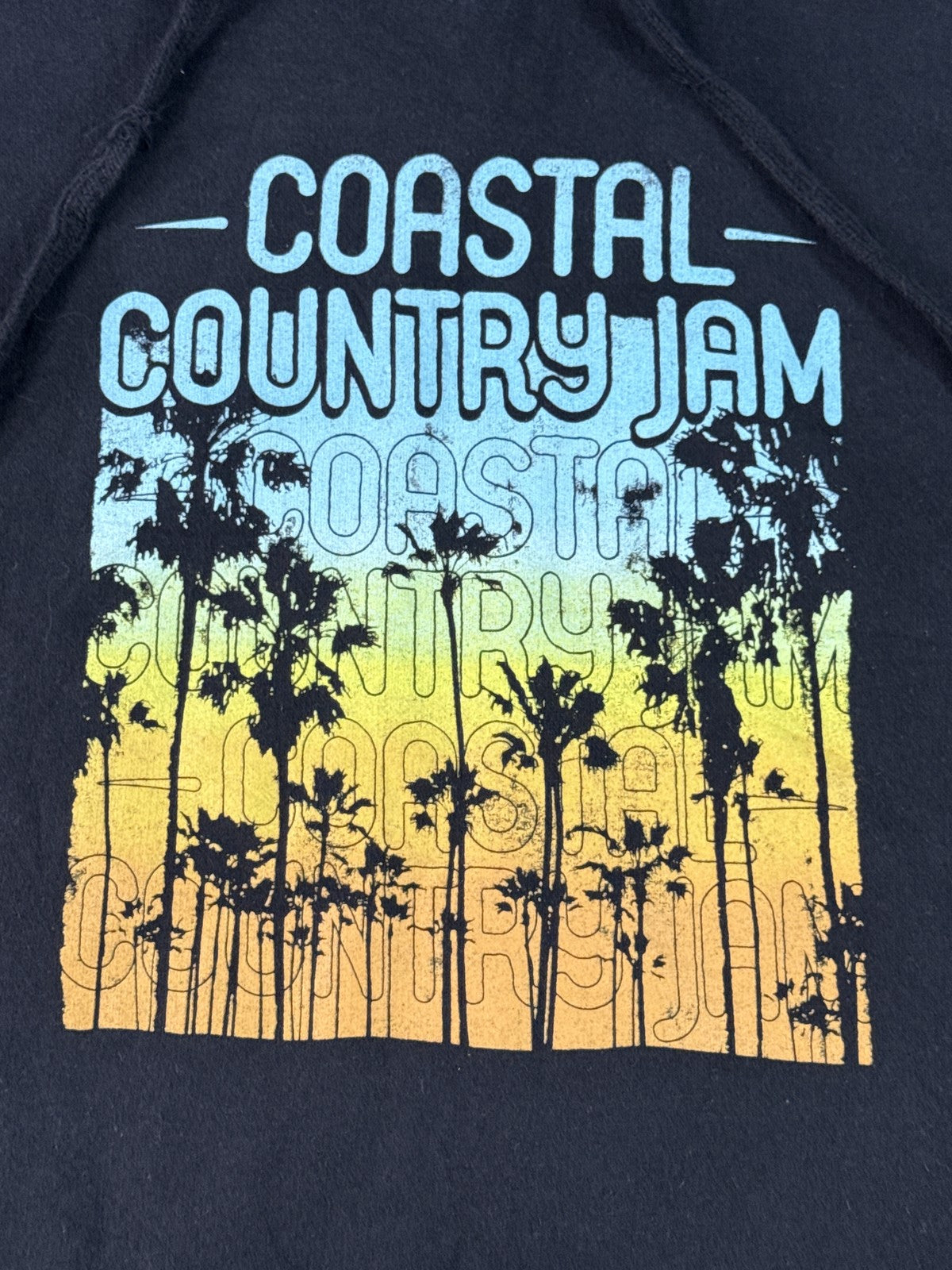 Independent Trading Co Coastal Country Jam Music Hoodie 2XL Black Cotton
