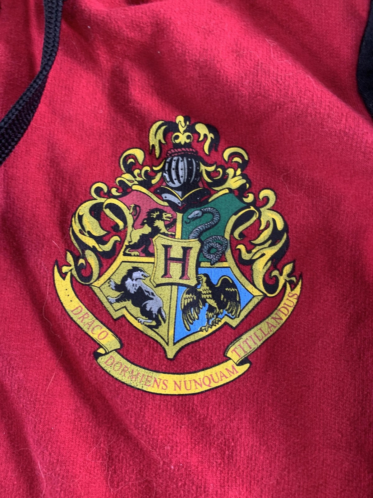 Harry Potter Hogwarts Hoodie Unisex Kids Small Red Black Fleece Varsity Jacket