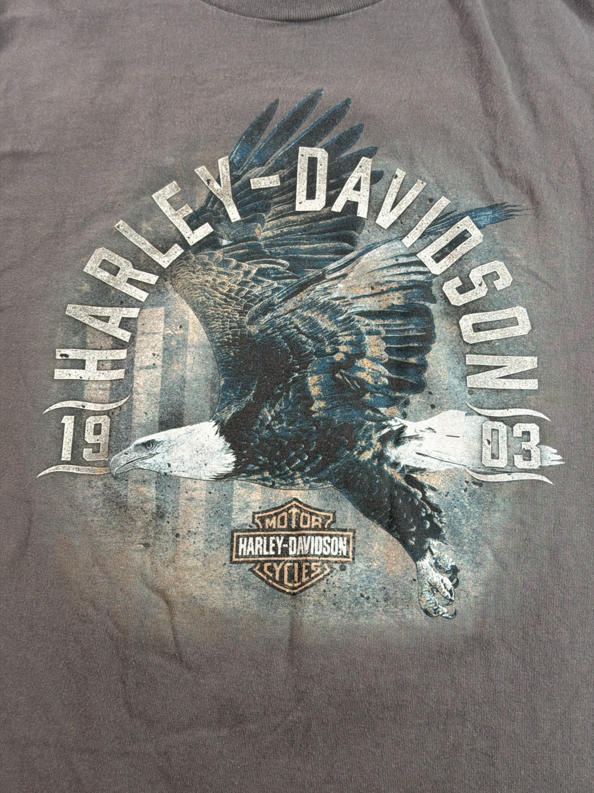 Harley Davidson Mens L Gray Lynchburg TN Dealer Eagle 1903 Bar Shield Logo Tee