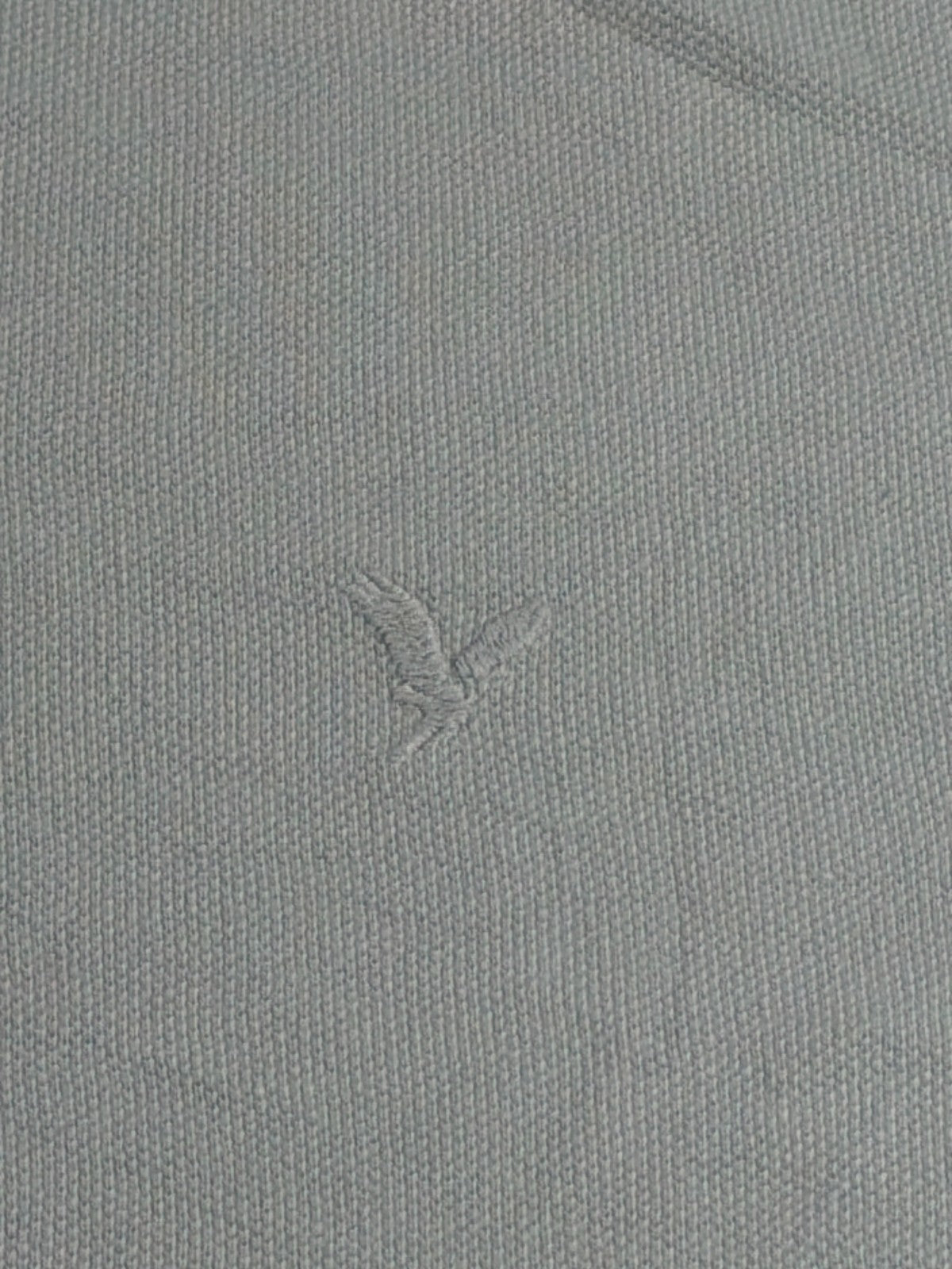 American Eagle Outfitters Super Soft Polo Shirt Mens XL Mint Green 100% Cotton