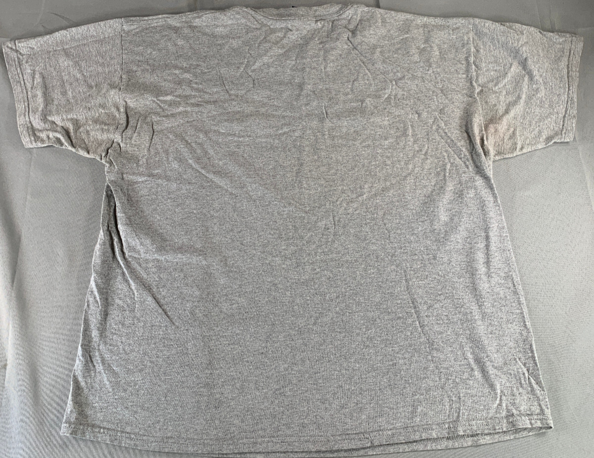 AS Sports UCLA Bruins Gray T-Shirt Mens L NCAA College Mascot Graphic Tee Vintag
